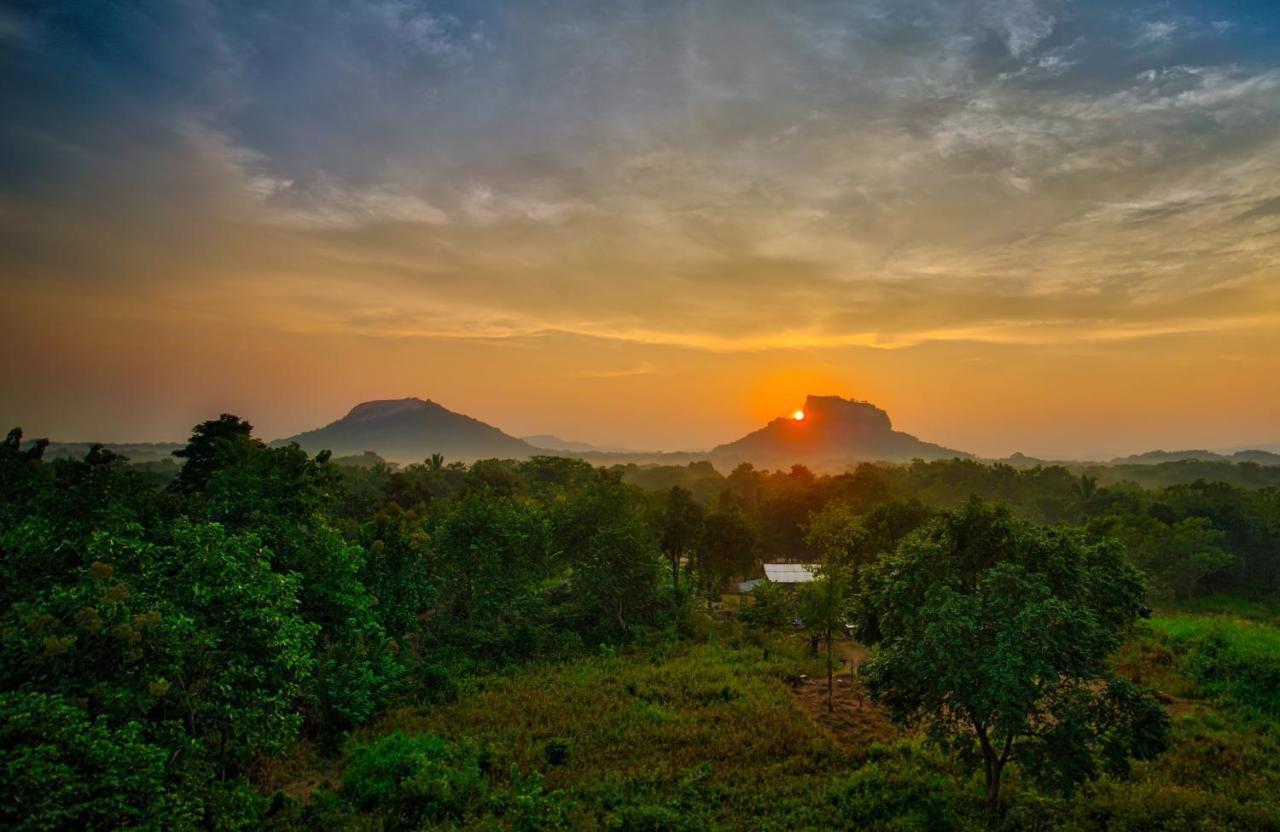 Choona Lodge 'View Of Sigiriya & Pidurangala With Sunrise' 外观 照片